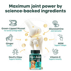 Natureflow dosage clair par poids: guide simple pour toutes tailles de chien.