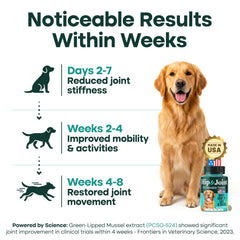Natureflow ingrédients actifs glucosamine, MSM et chondroïtine: composants naturels affichés clairement.