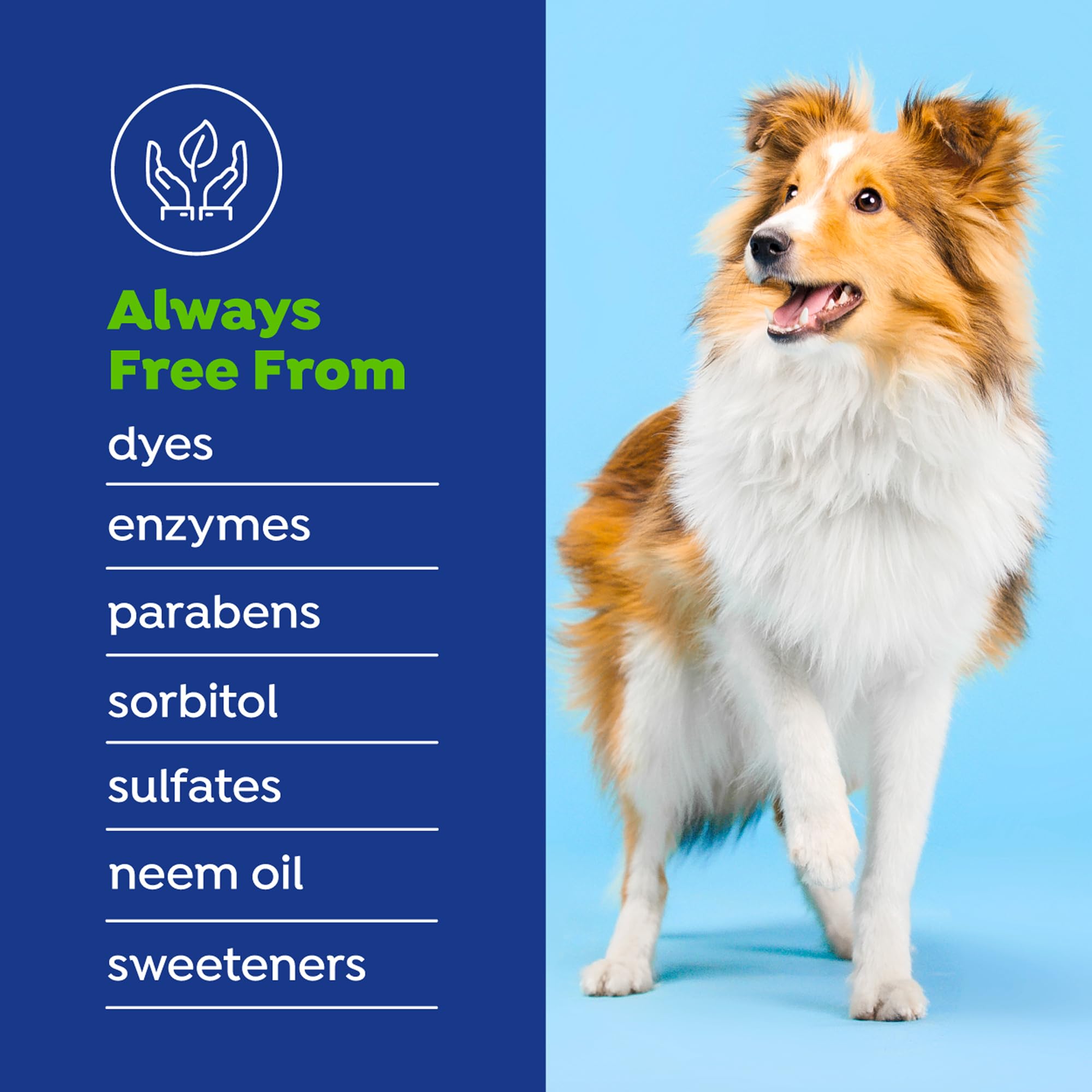 Naturel Promise sans goût ni odeur, chien boit sans remarquer le complément.