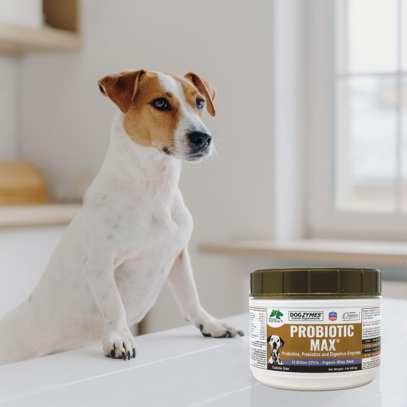 Dogzymes Probiotic Max — poudre blanche prête à être mélangée