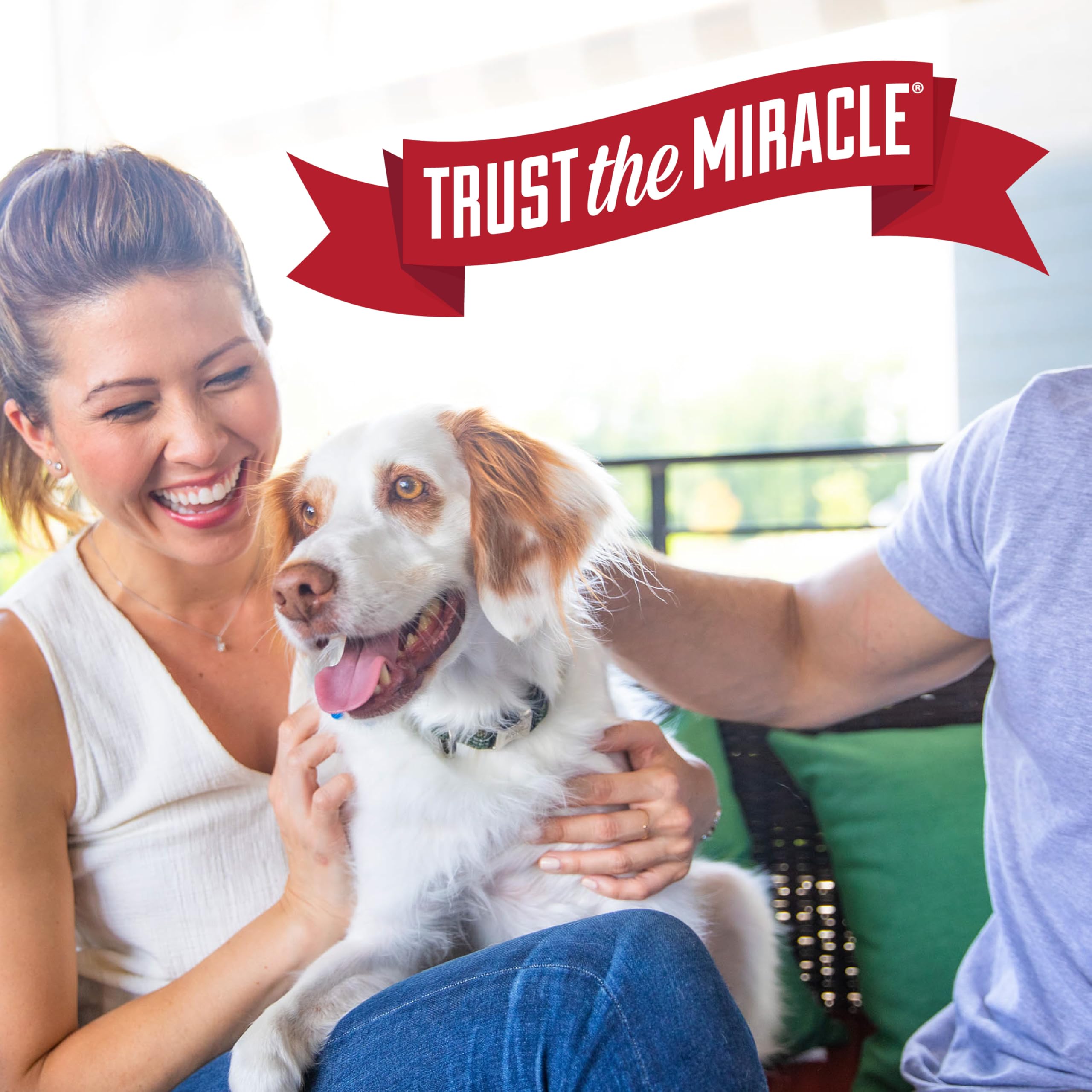 Nature’s Miracle – formule sans danger pour animaux et maison en suivant les instructions