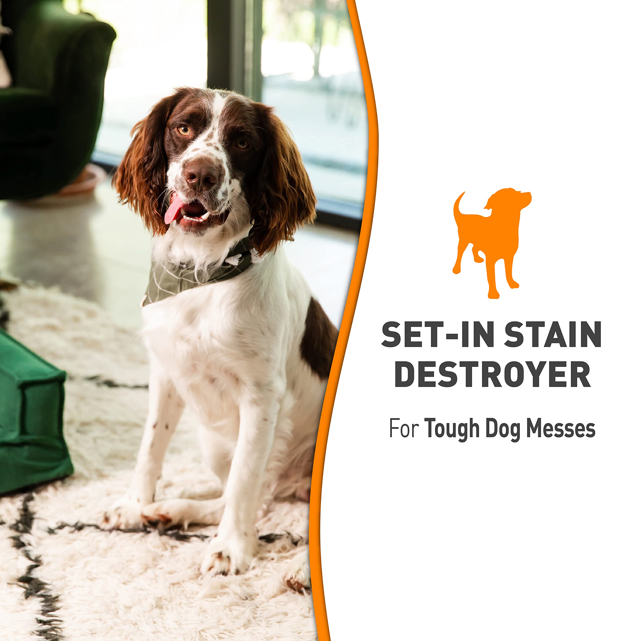 Nature’s Miracle Set-In Stain Destroyer, parfum orange frais, laisse une impression propre.