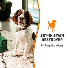 Nature’s Miracle Set-In Stain Destroyer, parfum orange frais, laisse une impression propre.