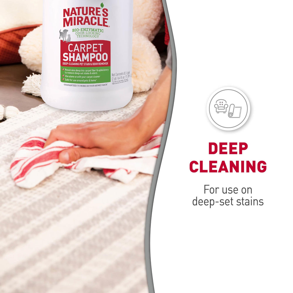 Nature’s Miracle Shampoing Tapis offre puissance professionnelle sur taches.
