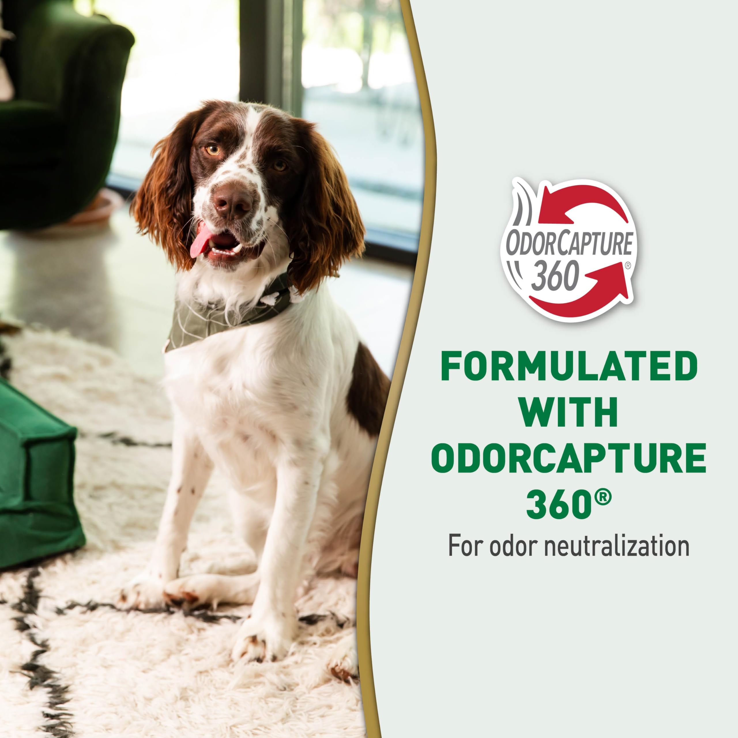Nature's Miracle Détriteur d’urine Plus — application sur tapis et tissus, action rapide.