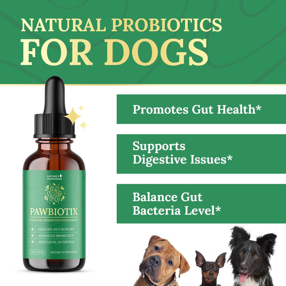 Pawbiotix goutte jour – administration facile dans la routine.