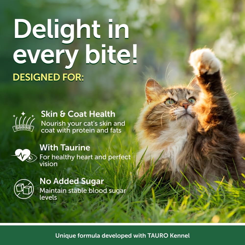 Nature's Protection chat: nourriture humide en sauce, protéines élevées et goût savoureux.