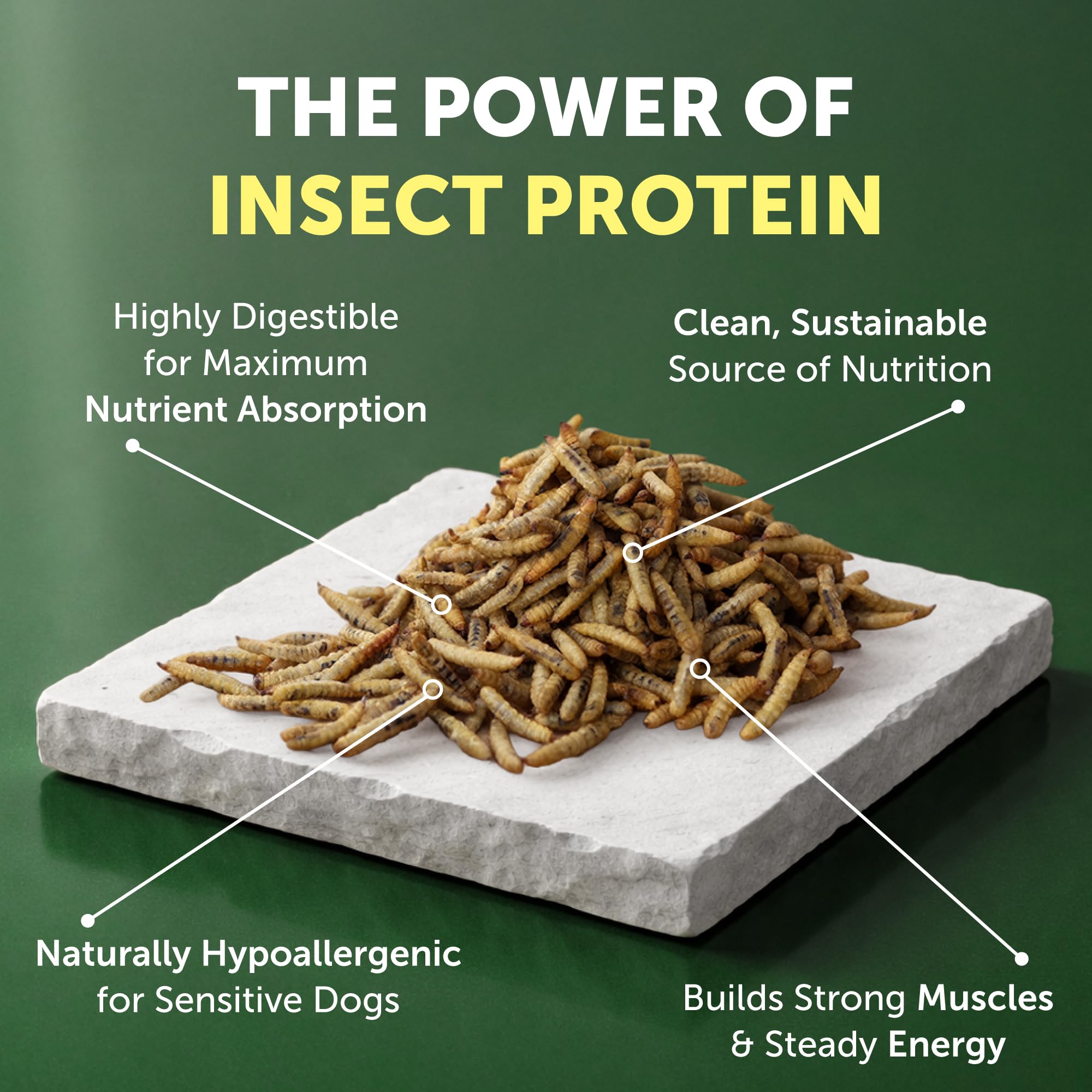 Nature's Protection croquettes sans céréales et sans gluten pour digestion douce.