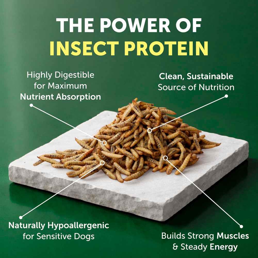 Nature's Protection croquettes sans céréales et sans gluten pour digestion douce.