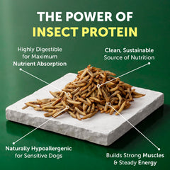 Nature's Protection croquettes sans céréales et sans gluten pour digestion douce.