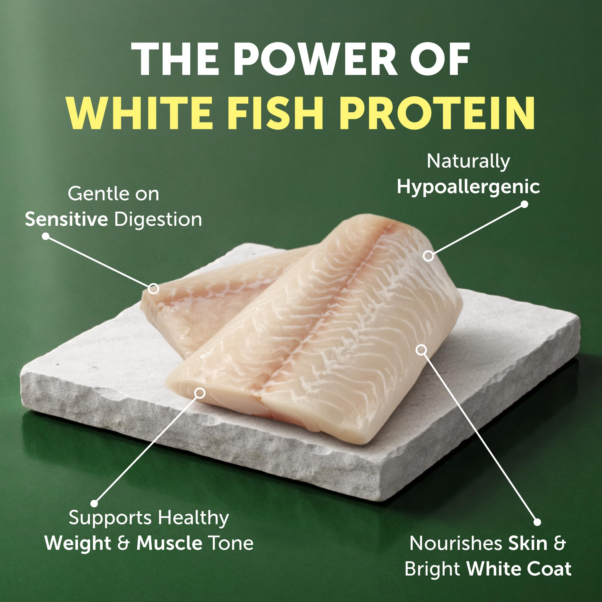 Protéine poisson blanc hautement digestible de Nature's Protection.