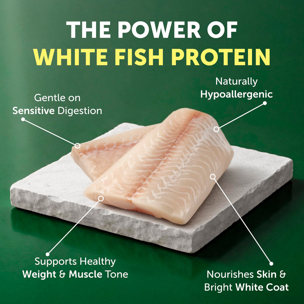 Protéine poisson blanc hautement digestible de Nature's Protection.
