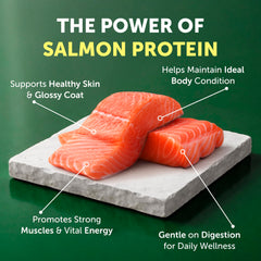 Nature's Protection Superior Care Saumon: sans blé, idéal pour sensibilité digestive.
