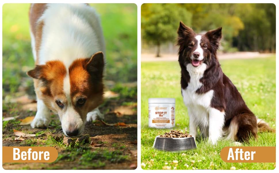 Nature's Pure Edge utilisation quotidienne dans les repas des chiens.
