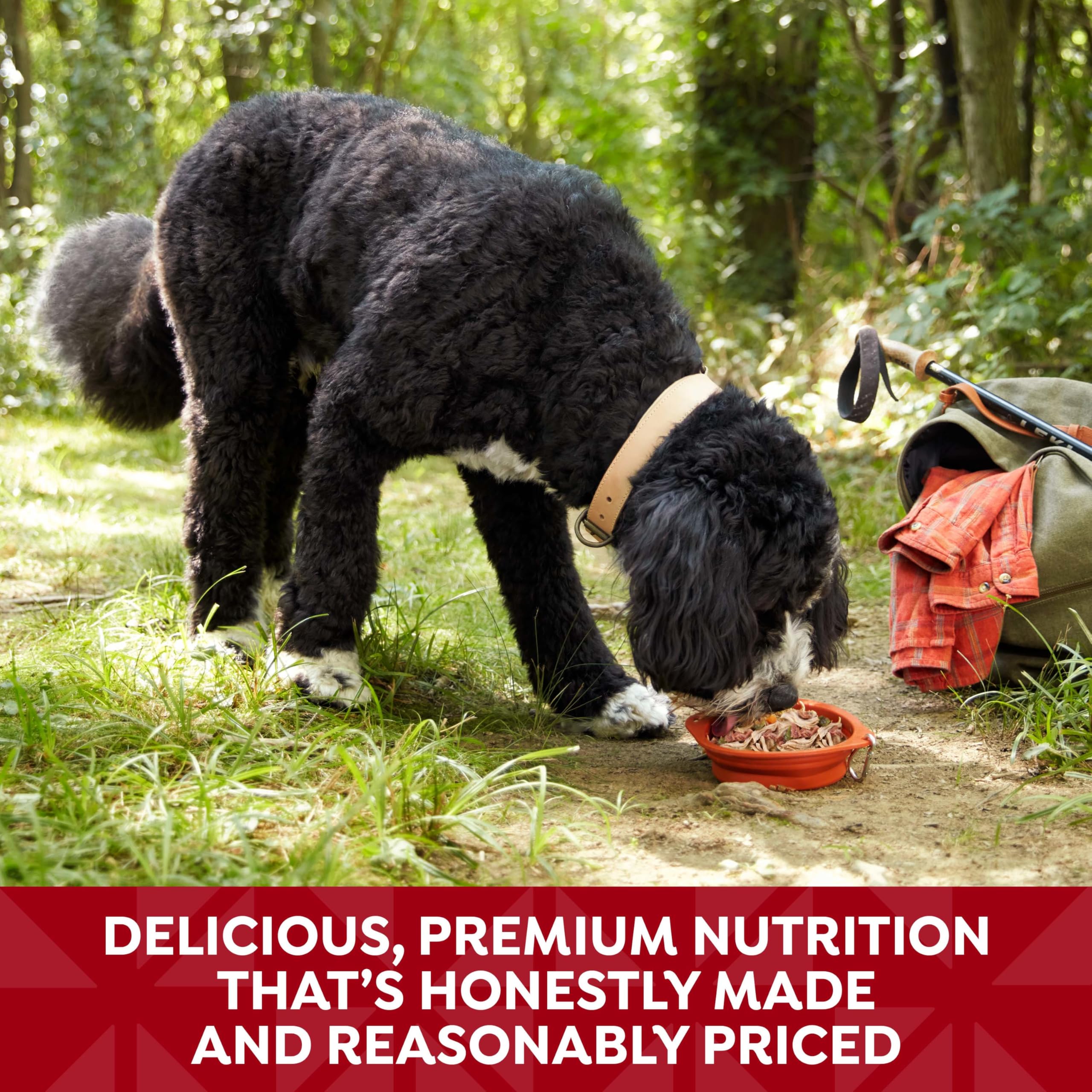 Nature's Recipe 12 coupelles de 78 g, repas pratique pour chien.