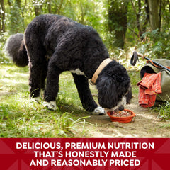 Nature's Recipe 12 coupelles de 78 g, repas pratique pour chien.