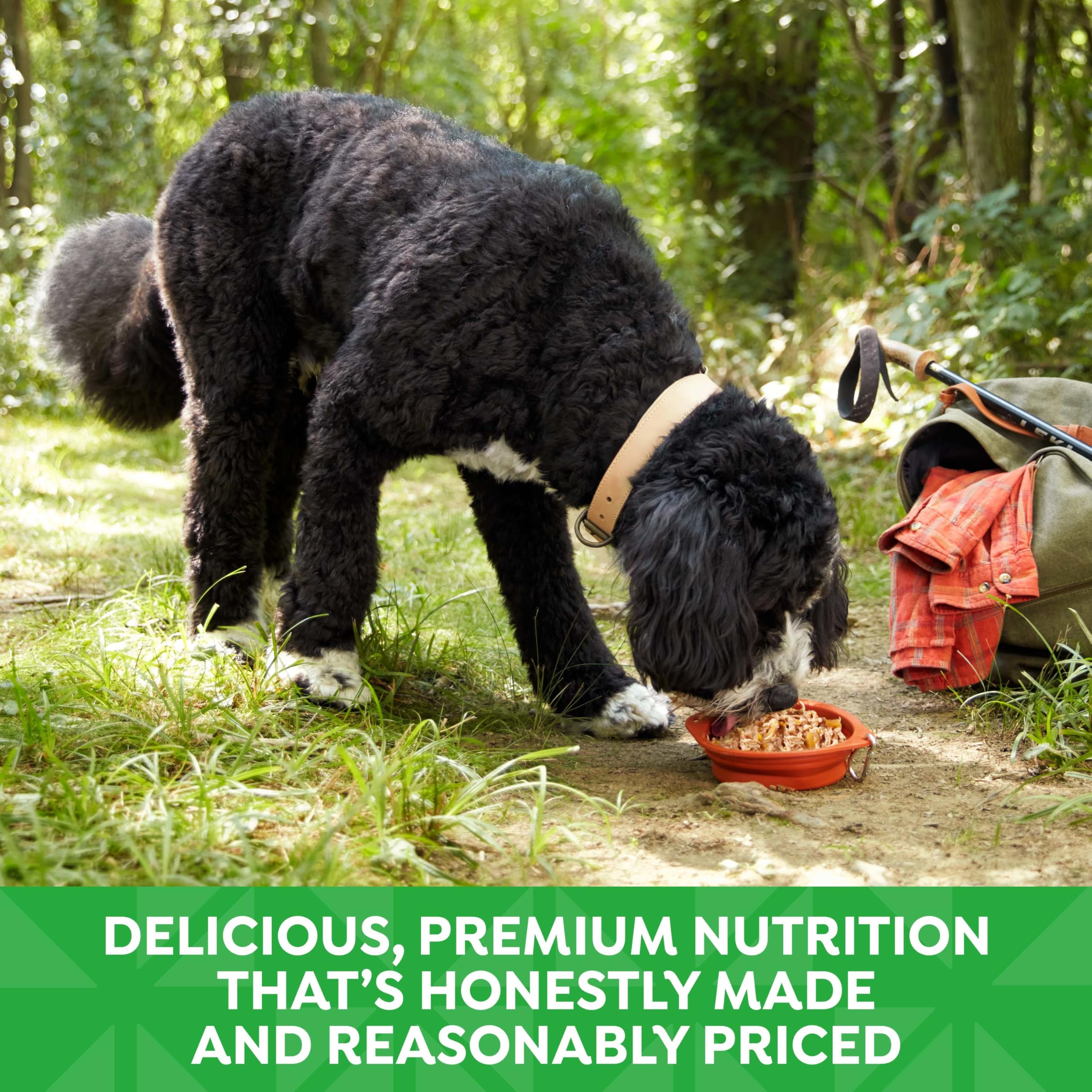 Nature's Recipe alimentation humide pour chien adulte, pratique et savoureuse