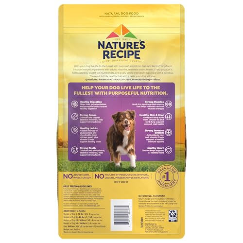 Nature's Recipe alimentation quotidienne adulte chien: croquettes adaptées à un mode de vie actif.