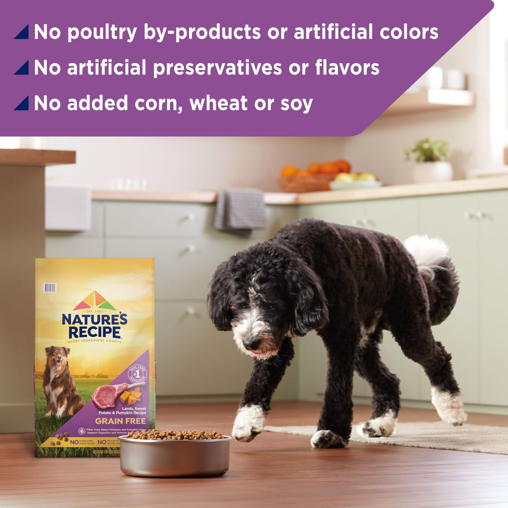 Bol-repas Nature's Recipe, alimentation quotidienne pour chien adulte actif.