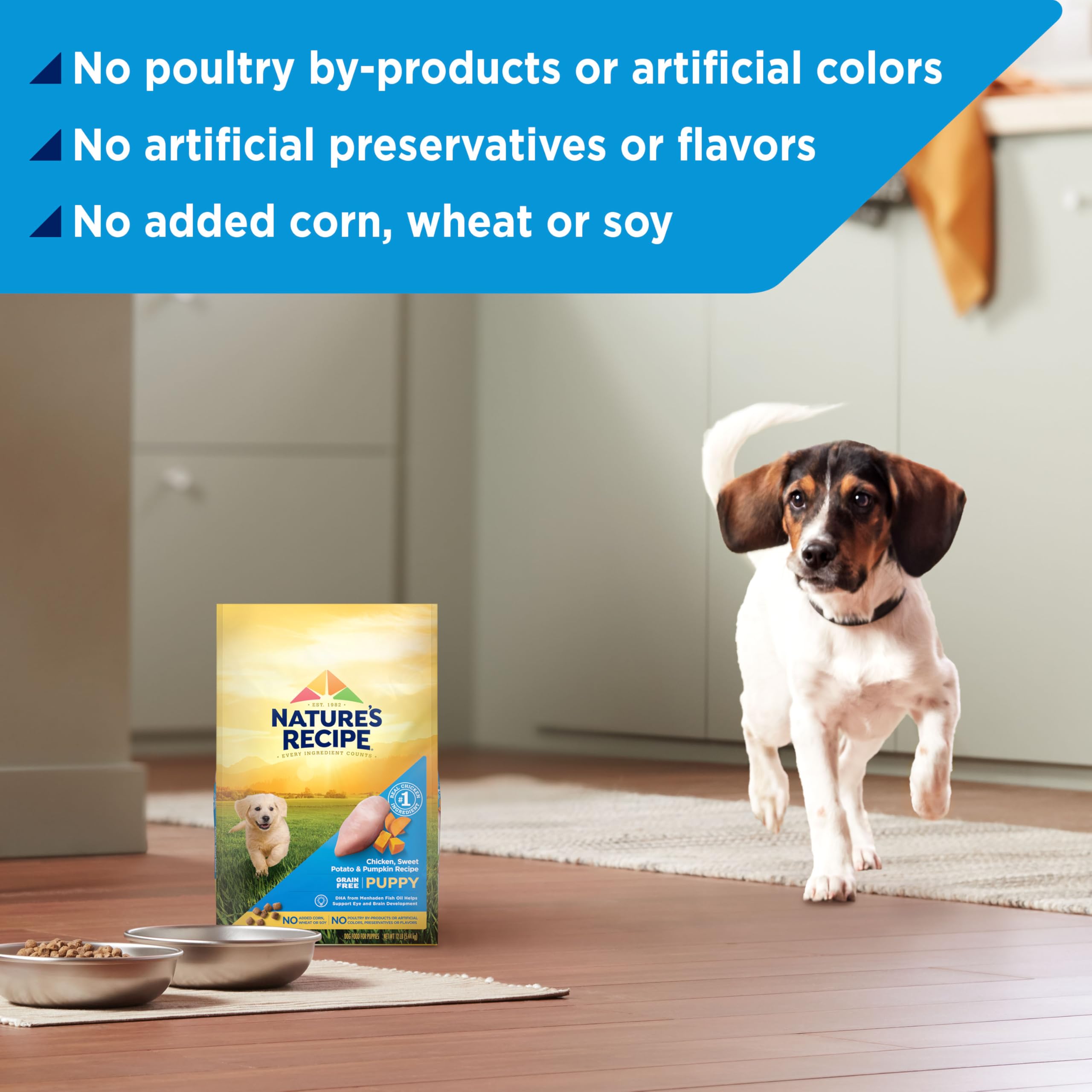 Nature's Recipe chiot calcium et phosphore pour os et dents