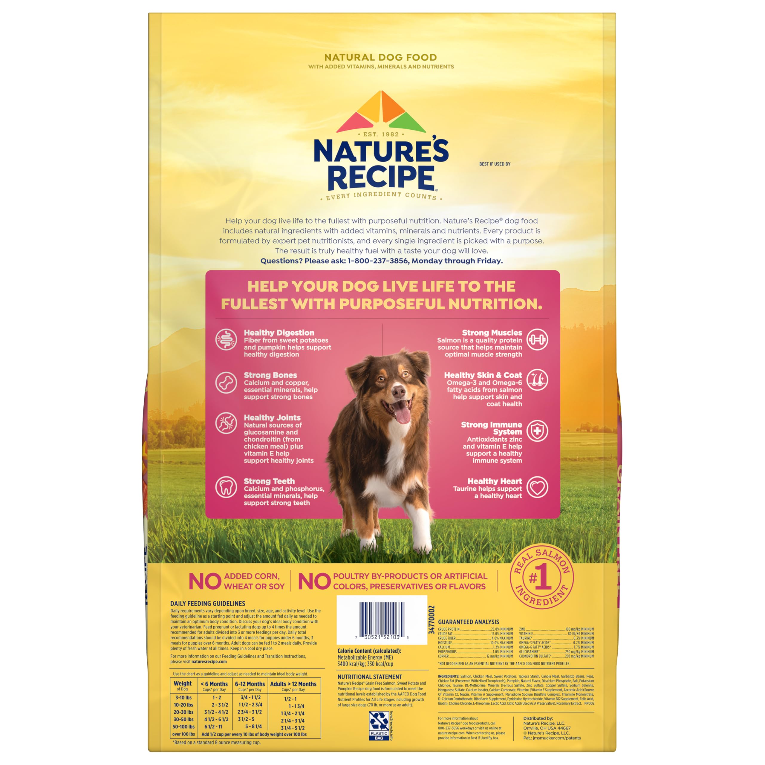 Sac Nature's Recipe de 12-lb prête à l'emploi pour stockage pratique.