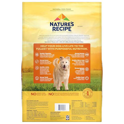 Nature’s Recipe format 12 lb — option économique et durable.