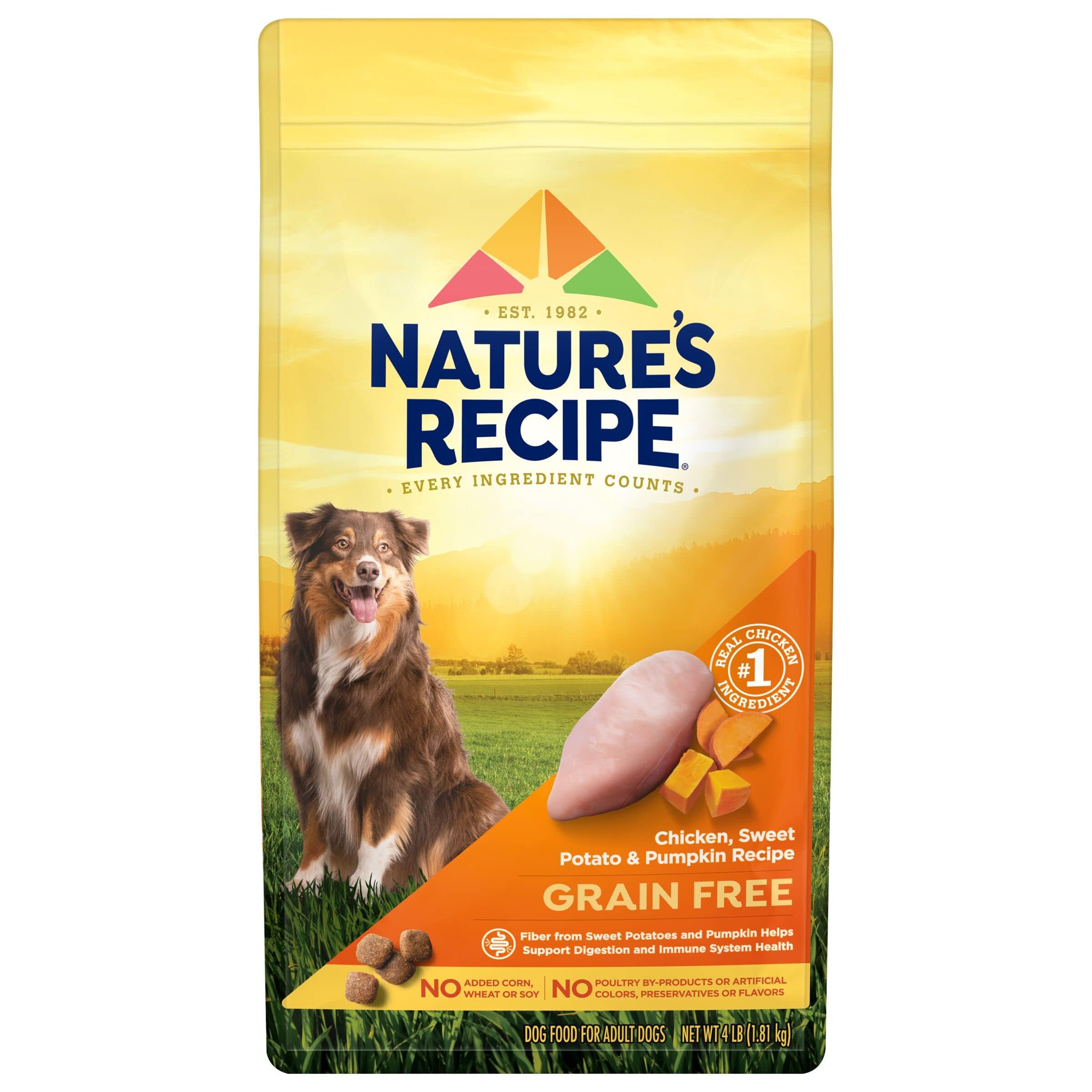 Sachet Nature's Recipe grain free au poulet, patate douce et citrouille pour chiens actifs.