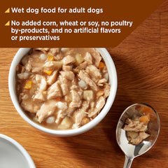 Nature's Recipe: alimentation humide pour chien adulte, bol appétissant.