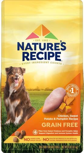 Zoom sur l’ingrédient vedette: poulet, source de protéines de qualité.