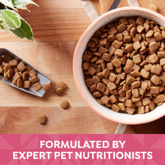 Ingrédients naturels sans céréales de Nature's Recipe pour chiens sensibles.