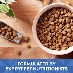 Nature's Recipe sans arômes artificiels ni conservateurs, formulation claire.