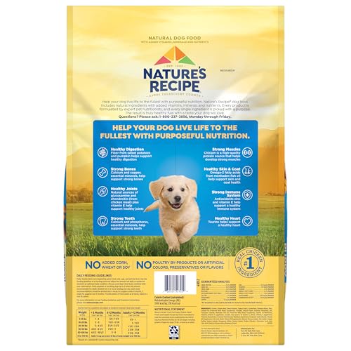 Nature's Recipe chiot expérience naturelle et saine.