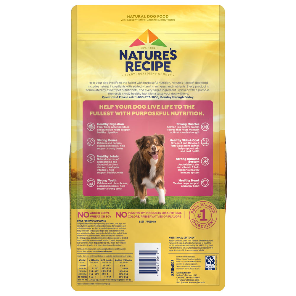 Sac pratique de 4 lb de Nature's Recipe, croquettes faciles à doser et stocker.