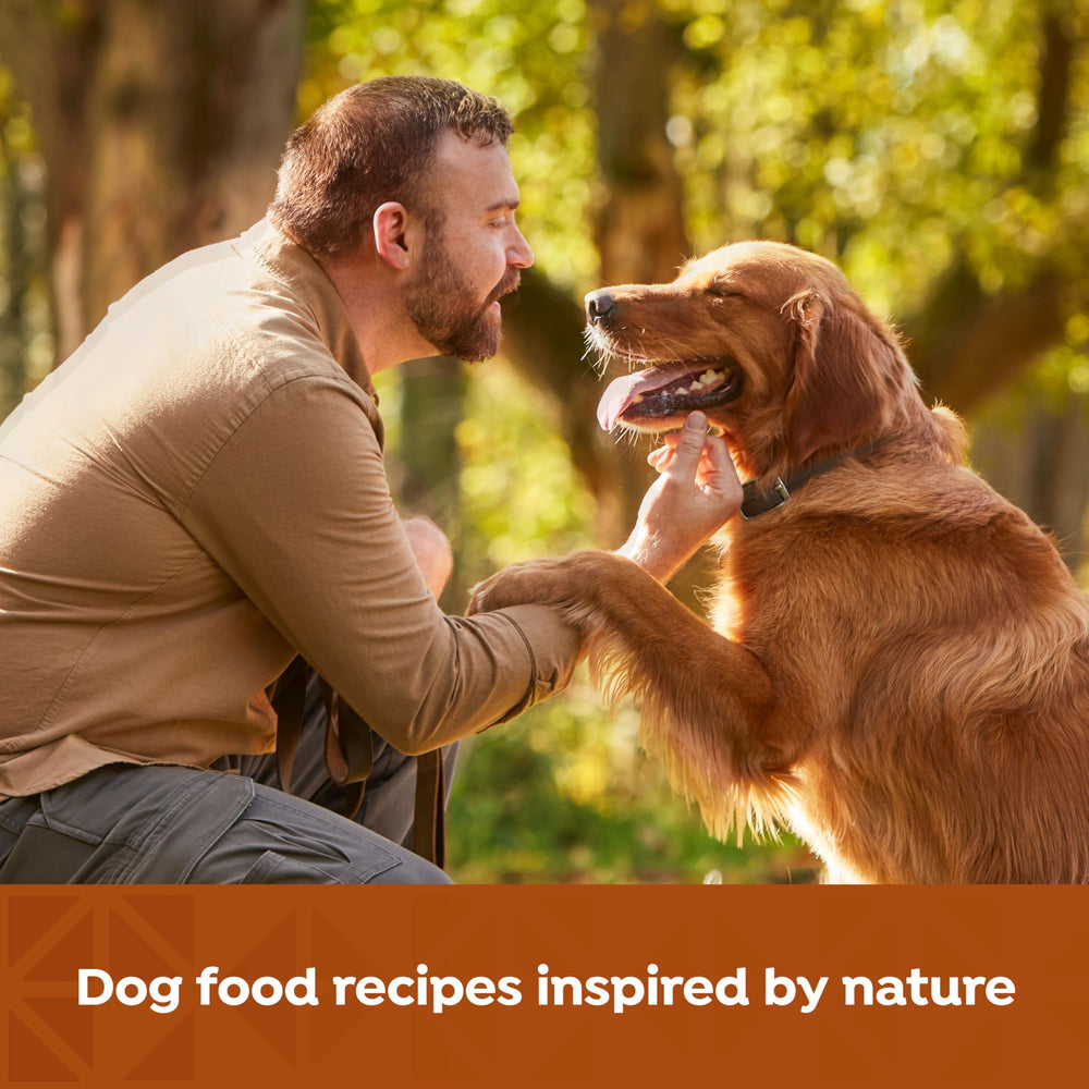 Sans céréales et sans maïs, Nature’s Recipe convient aux chiens sensibles.
