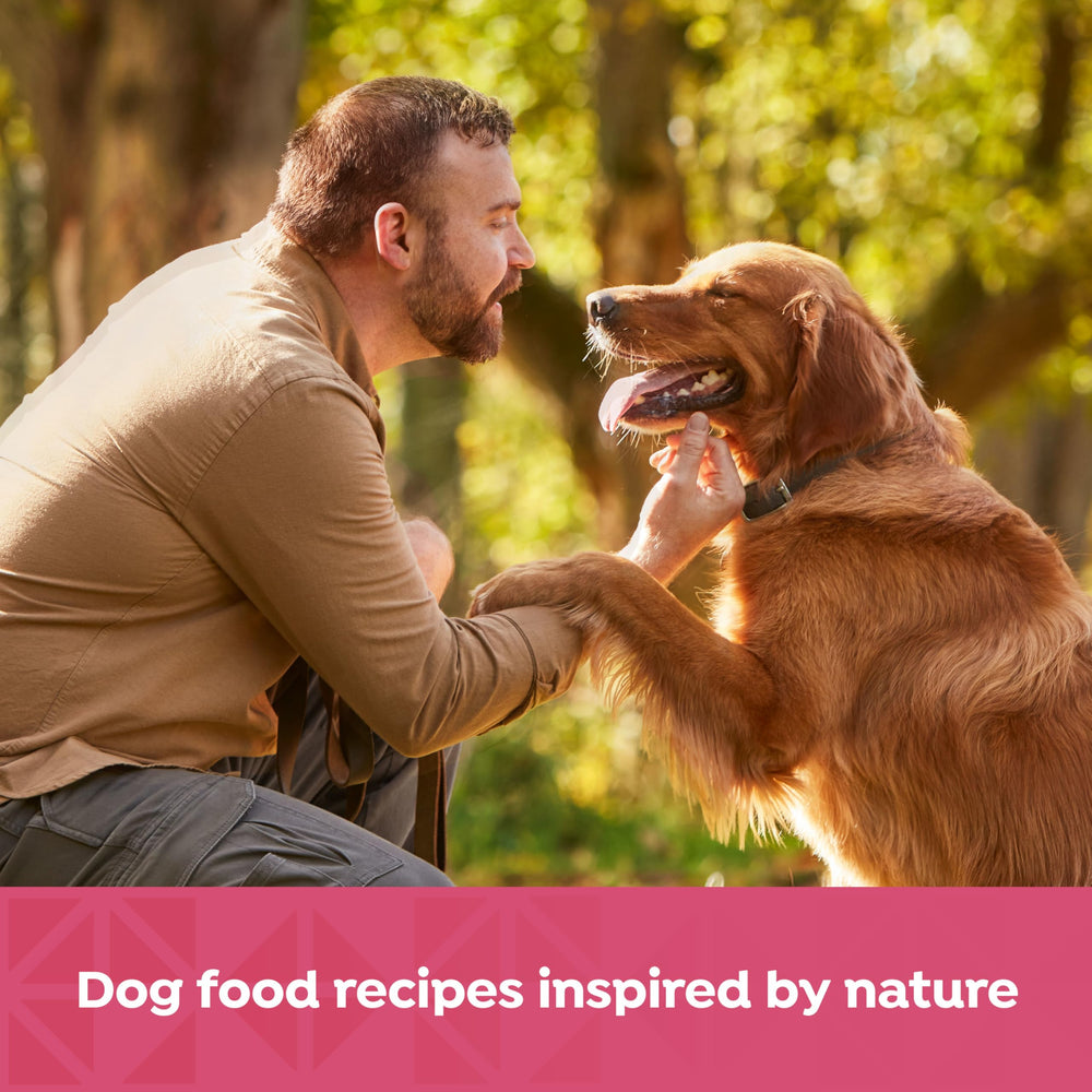 Nature's Recipe sans conservateurs artificiels: image liste d'ingrédients simples