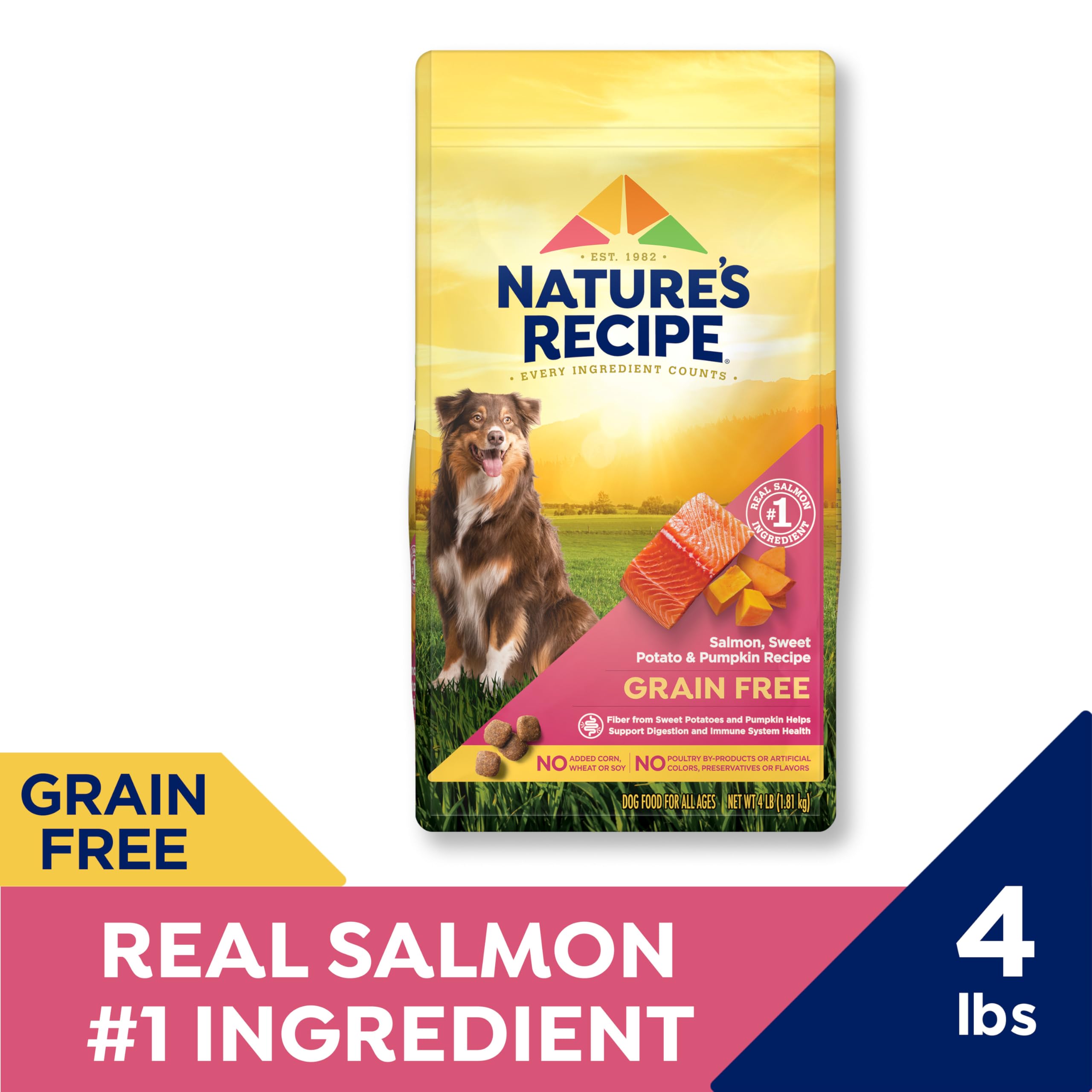 Croquettes saumon et patate douce de Nature's Recipe, adaptées aux chiens actifs.