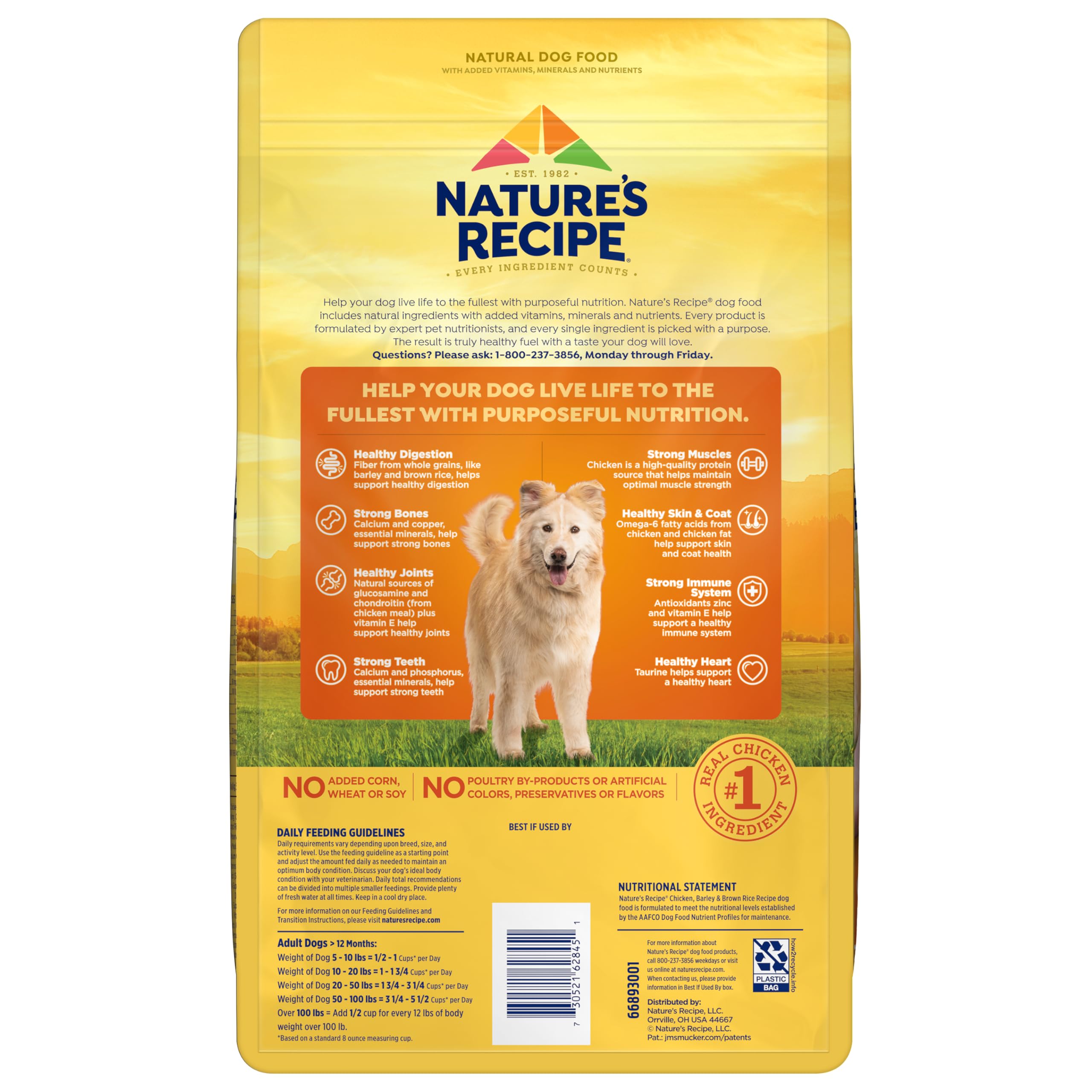 Nature's Recipe sec chien repas quotidien pratique et nutritif.