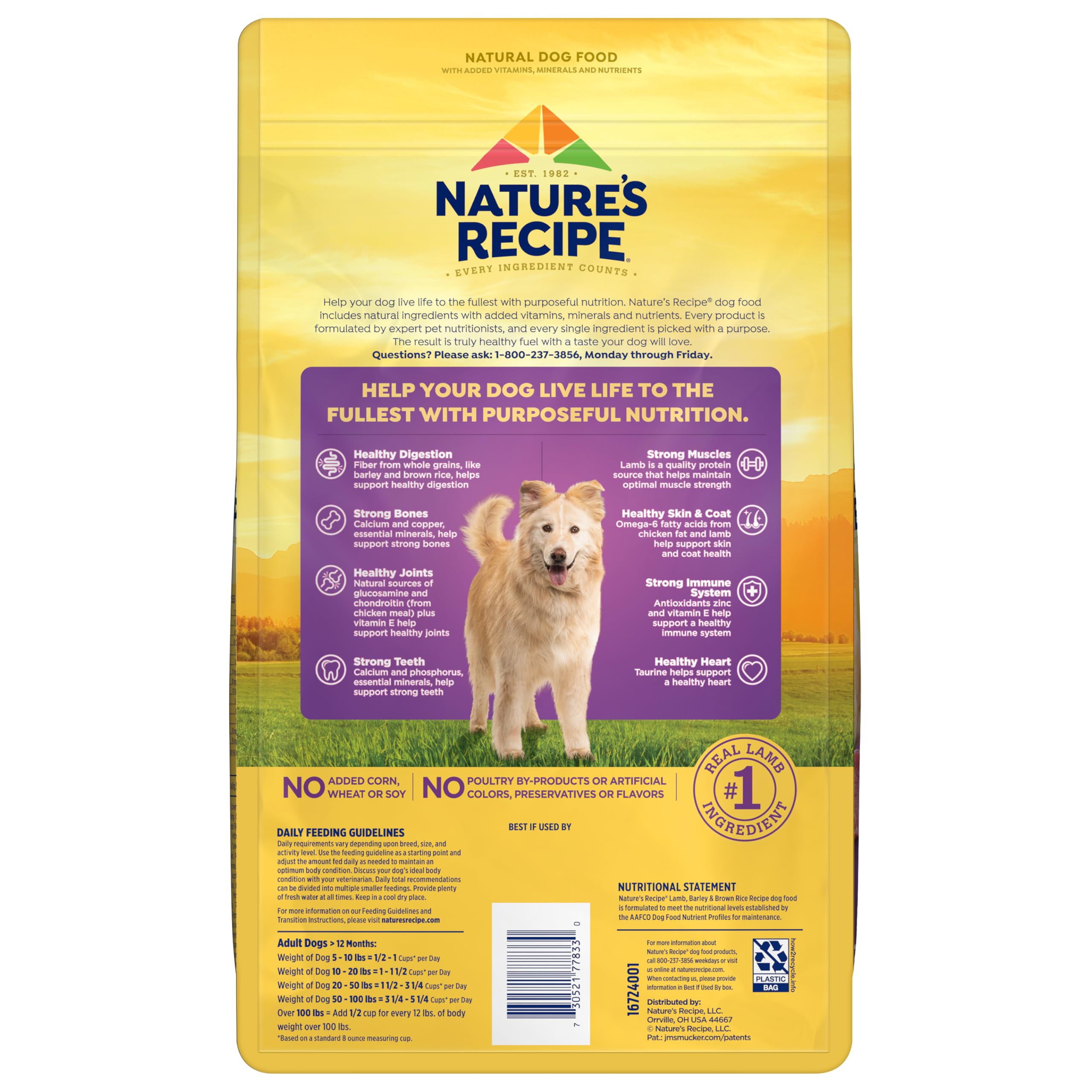 Nature's Recipe taurine coeur sain: soutien cardiaque