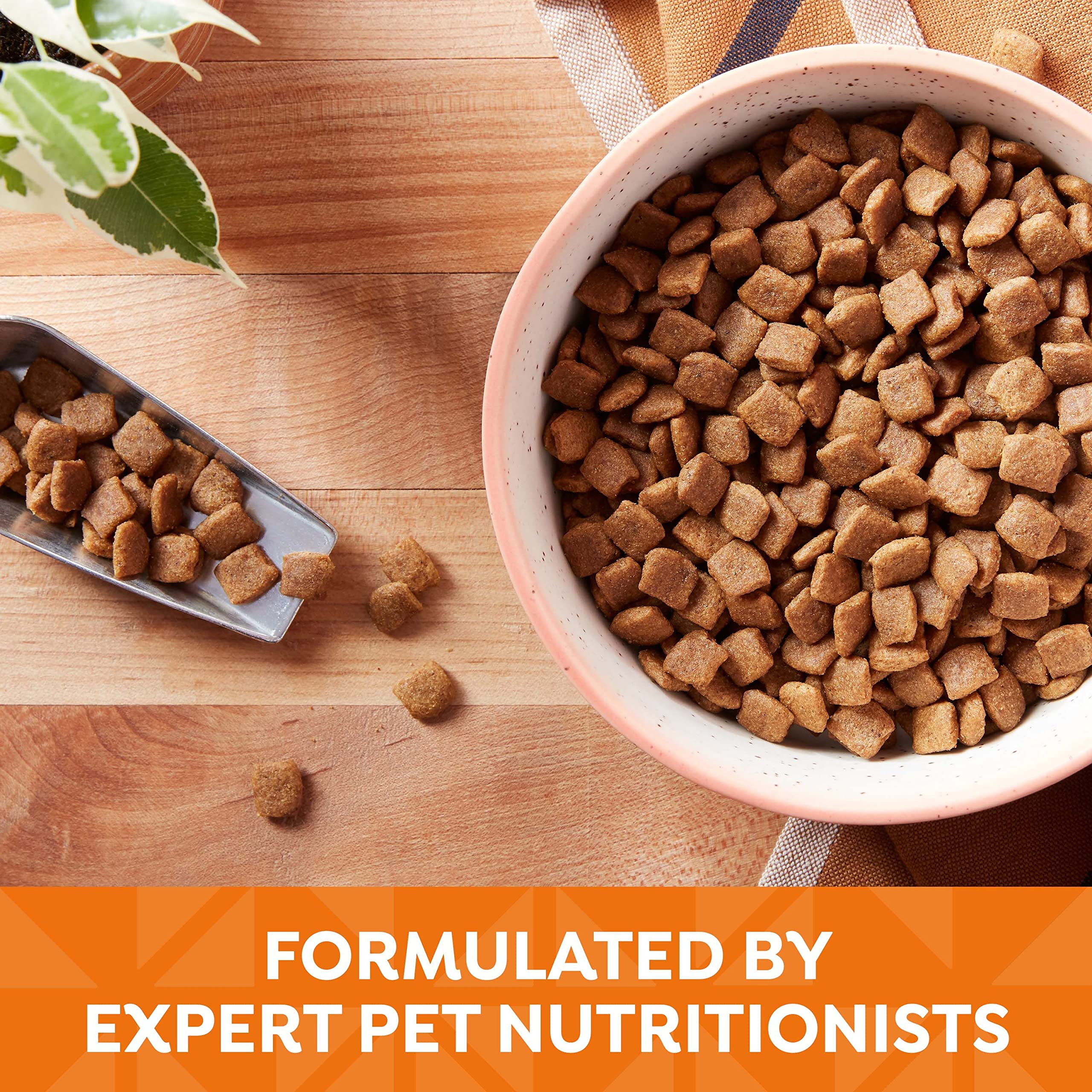 Vitamines et minéraux naturels ajoutés pour soutenir la vitalité canine.