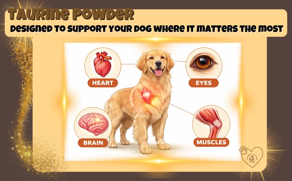 Taurine pour chiens et chats, soutien potentiel cœur et énergie.