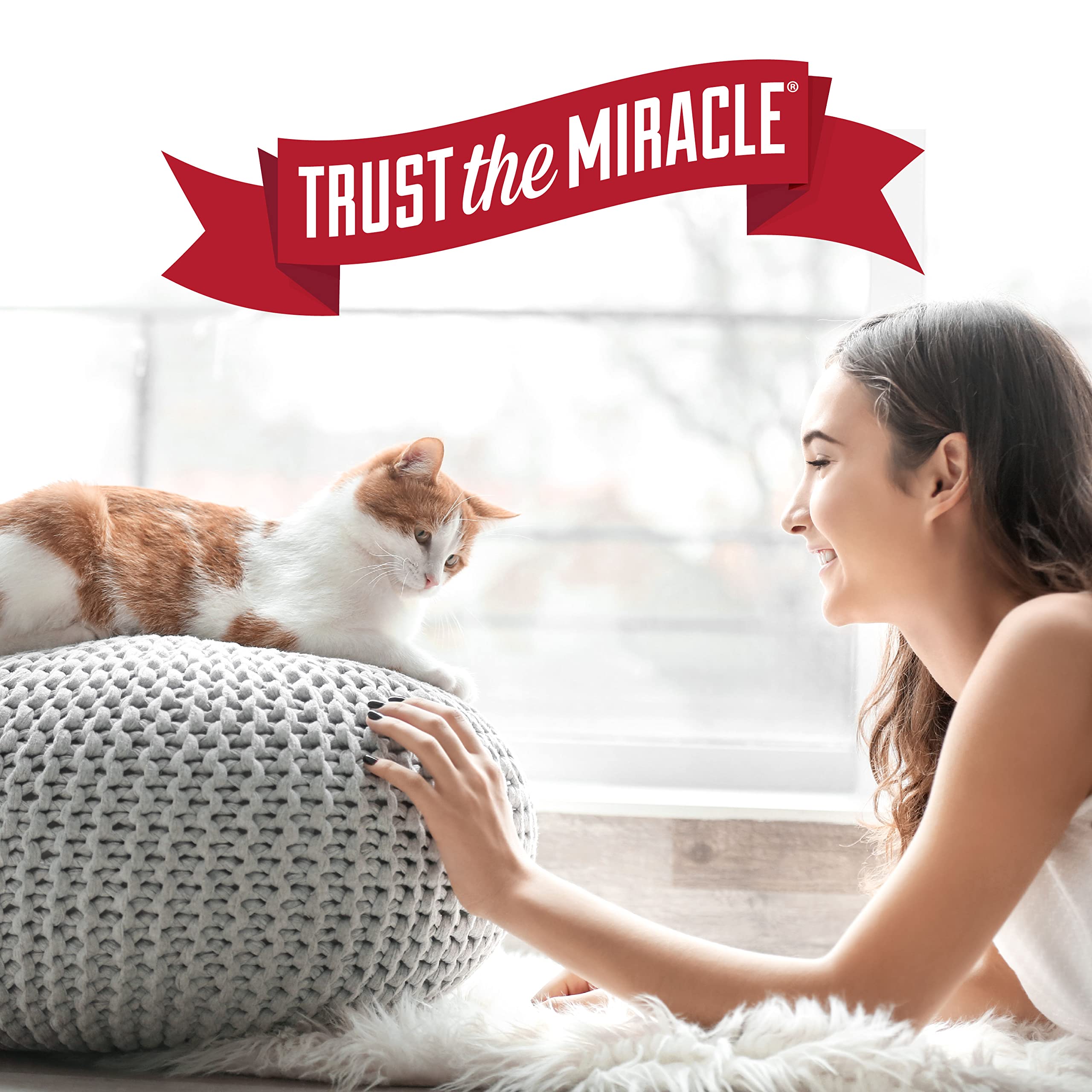 Conseil d’utilisation quotidien pour soutenir le comportement positif du chat.