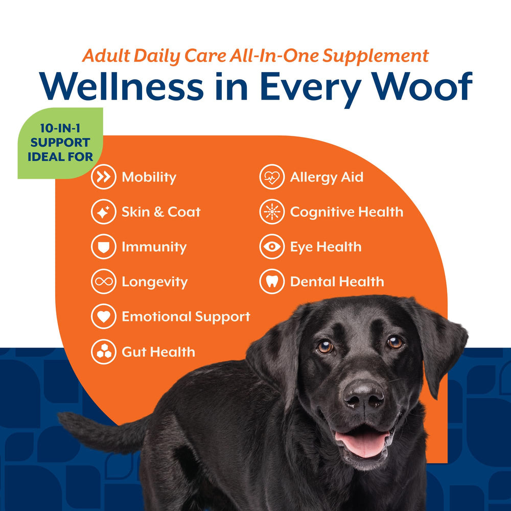 NaturVet All-in-One – soutien articulations et mobilité pour chien actif.