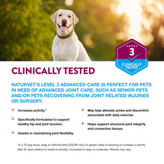 NaturVet ArthriSoothe-GOLD acide hyaluronique et MSM soutiennent le cartilage.
