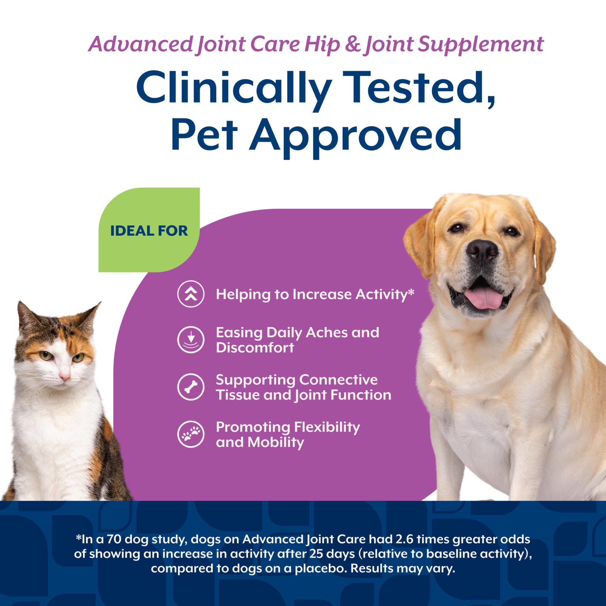 NaturVet ArthriSoothe-Gold – palourde verte, nutriments naturels pour les articulations.