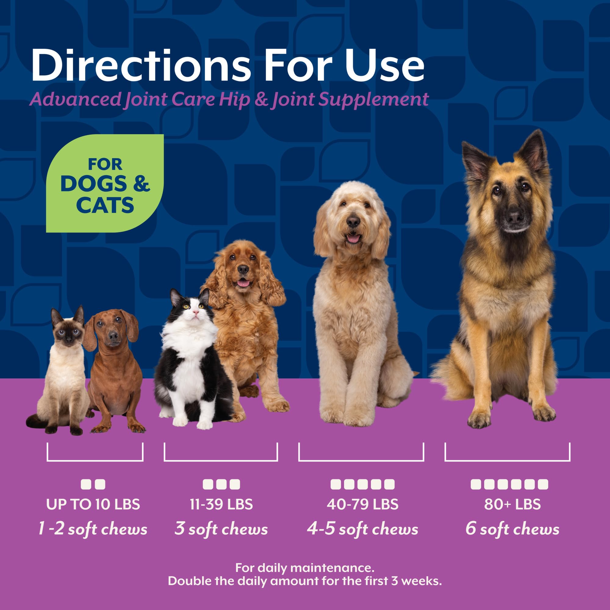 NaturVet ArthriSoothe-Gold – soutien mobilité pour chien senior et récupération après chirurgie.