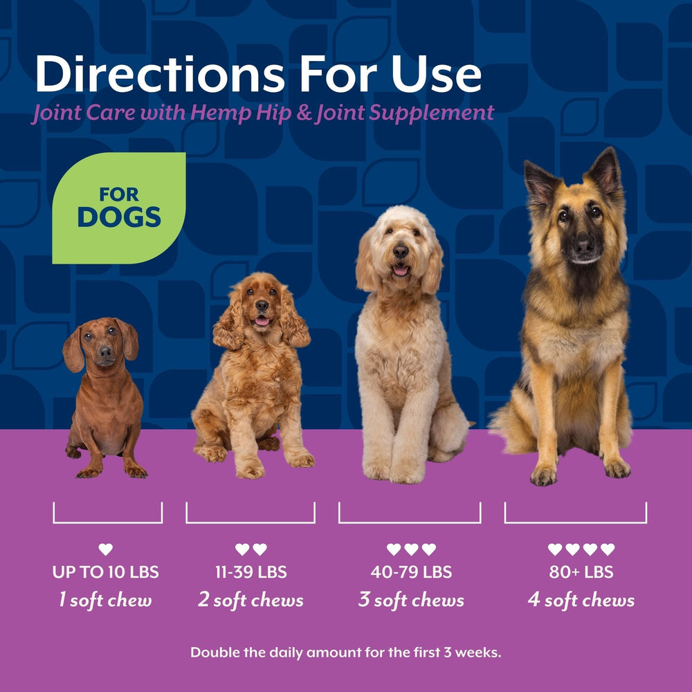 NaturVet boite 60 friandises chien – format pratique pour un usage quotidien.