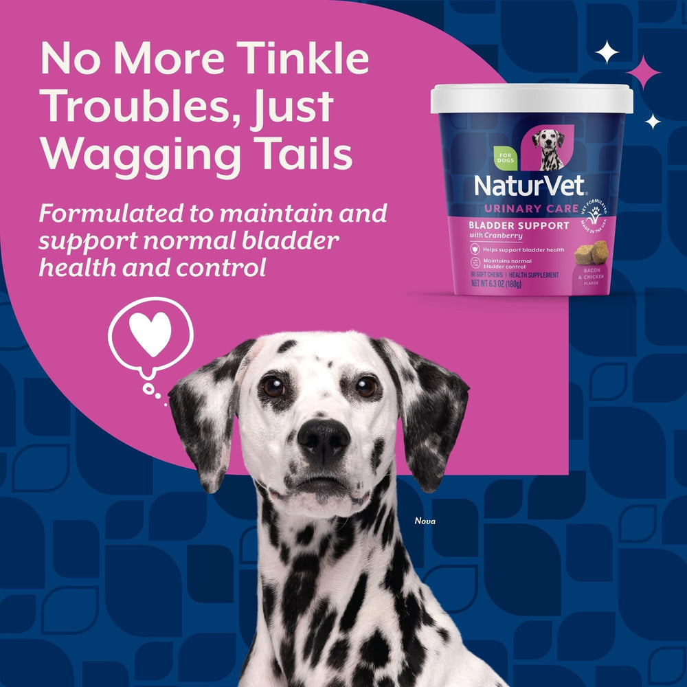 NaturVet bouteille 60 bouchées pour chien – format pratique à emporter.