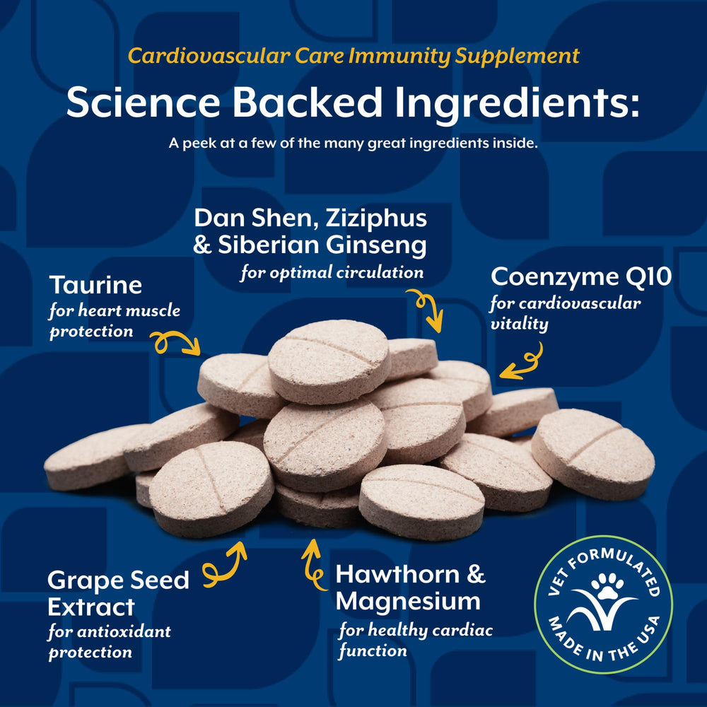 Magnésium et L-Carnitine – soutiens potentiels pour l’énergie canine