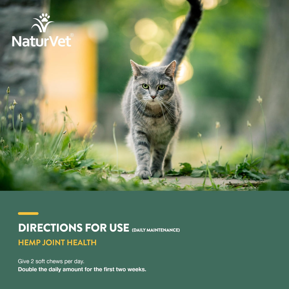 Chat actif et zen avec NaturVet chanvre bouchées