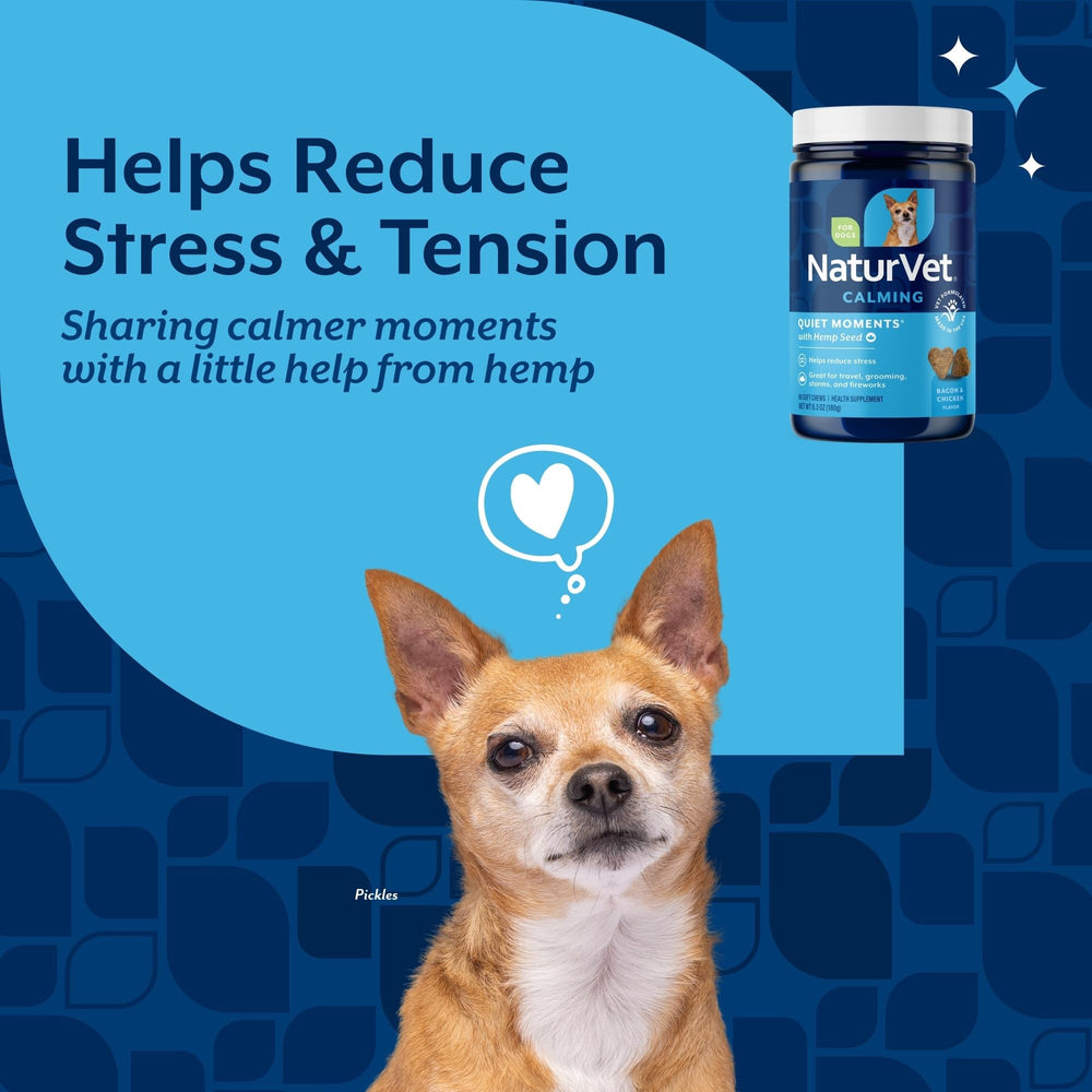 Chien détendu sur le canapé après NaturVet Moments Silencieux.